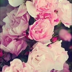 Meet your Posher, Susana